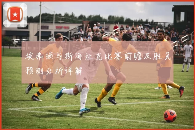 埃弗顿与斯海杜克比赛前瞻及胜负预测分析详解