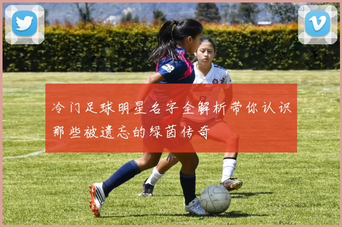 冷门足球明星名字全解析带你认识那些被遗忘的绿茵传奇